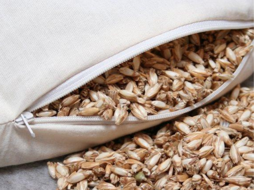 an organic cotton pillow unzipped to show organic spelt husks filling