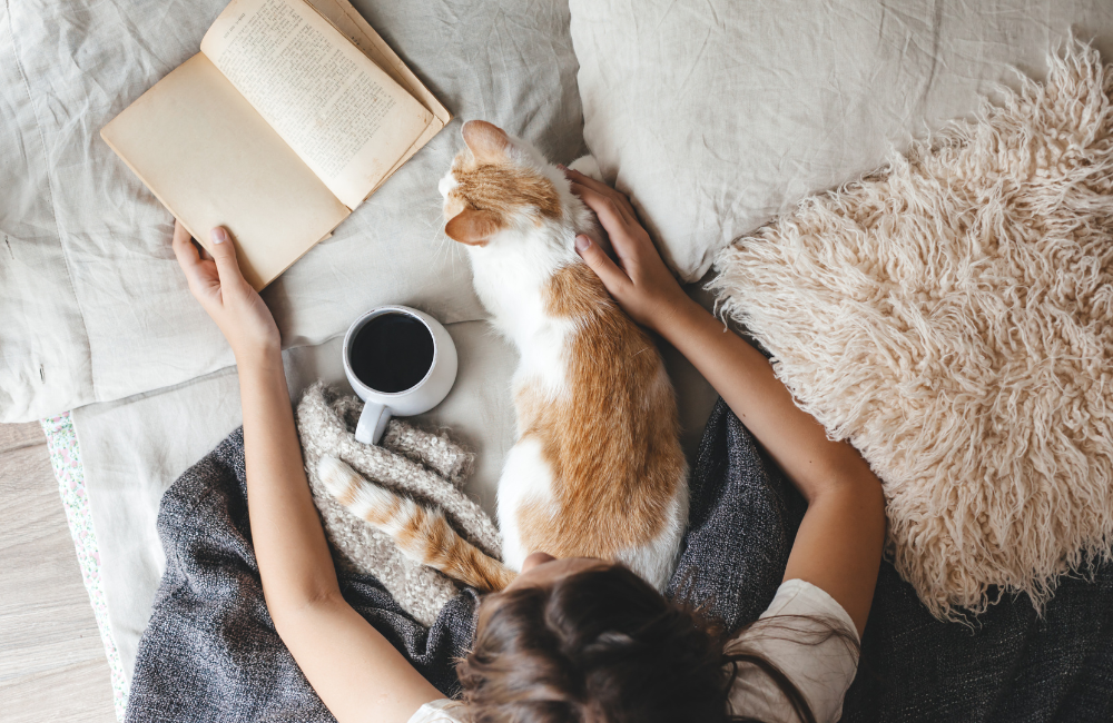 women in bed with cup of coffee, book and a cat